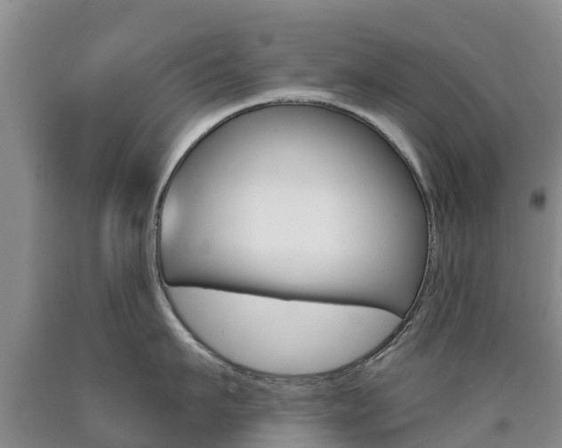 X0000090870911200707270952