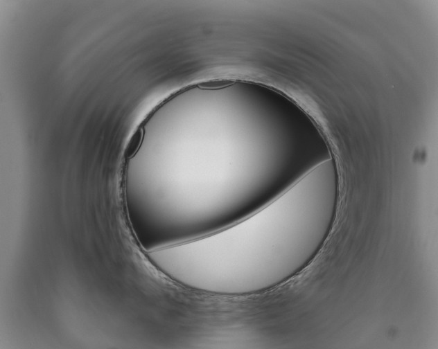 X0000090870912200707270952