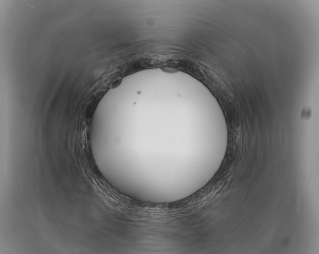 X0000090870914200707270951