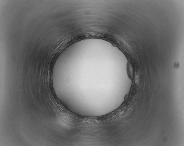X0000090870915200707270951