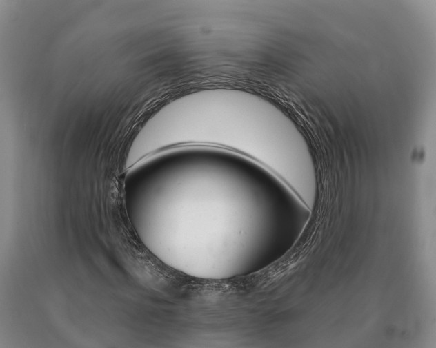 X0000090870916200707270951