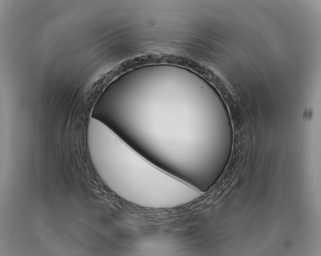X0000090870919200707270951