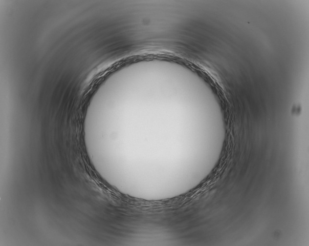 X0000090870920200707270951