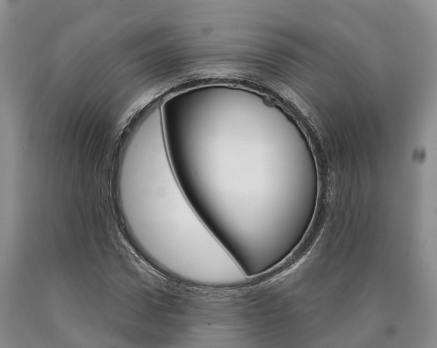 X0000090870922200707270951