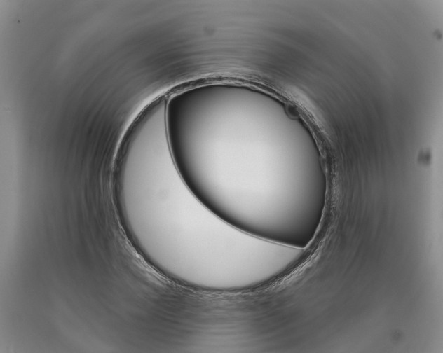 X0000090870924200707270951