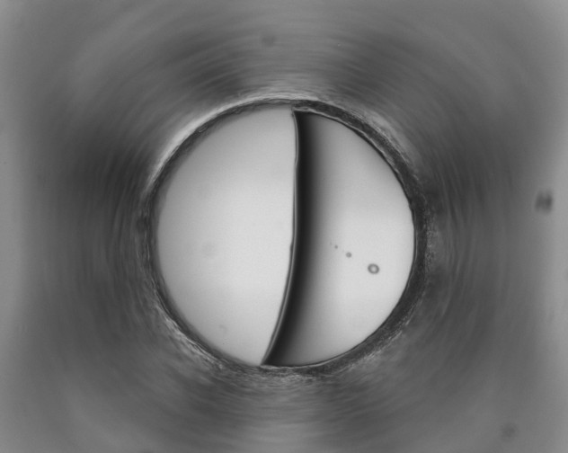 X0000090870926200707270951