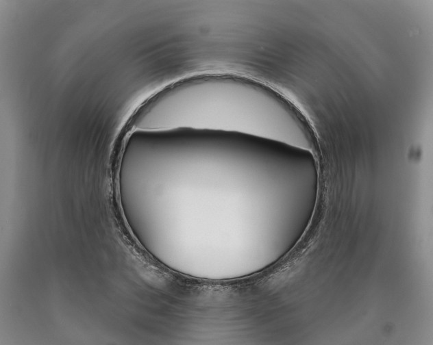 X0000090870927200707270951