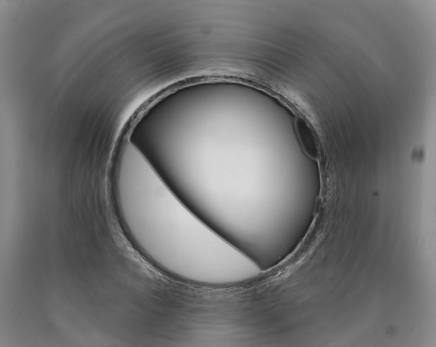X0000090870928200707270951
