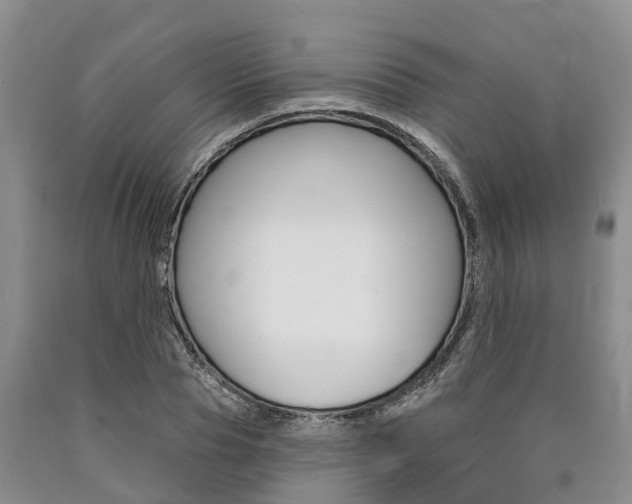 X0000090870929200707270951