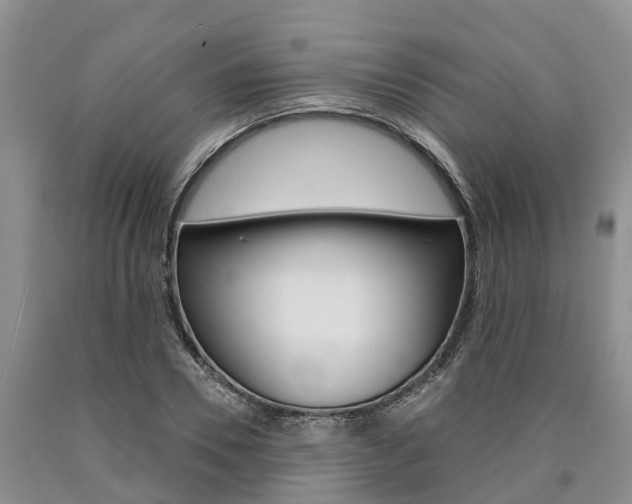 X0000090870930200707270951