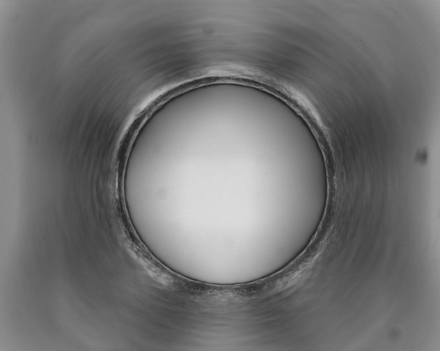 X0000090870931200707270951