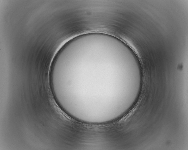 X0000090870932200707270951