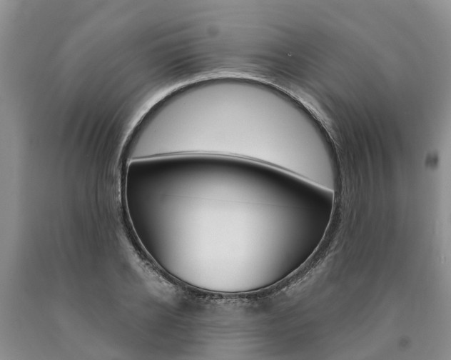 X0000090870934200707270952