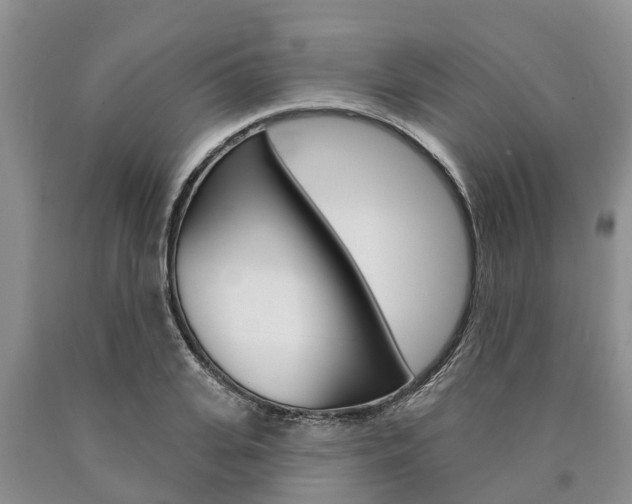 X0000090870935200707270952