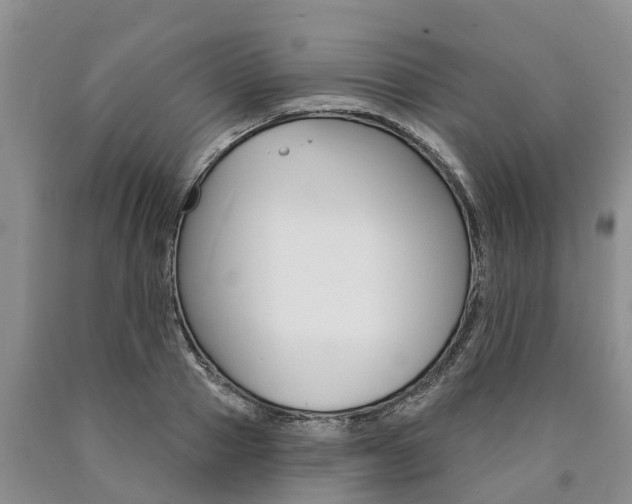 X0000090870937200707270952