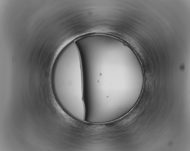 X0000090870939200707270952