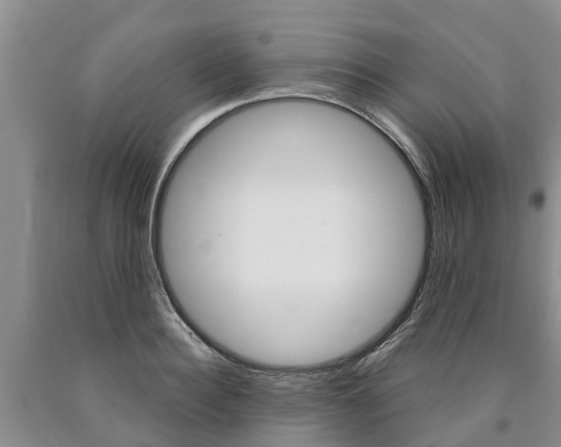 X0000090870940200707270952