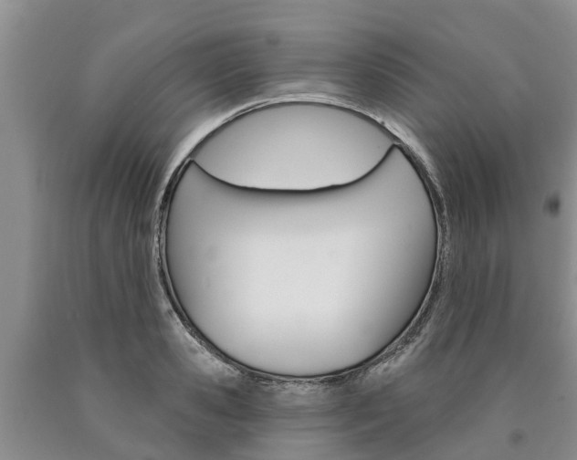 X0000090870941200707270952