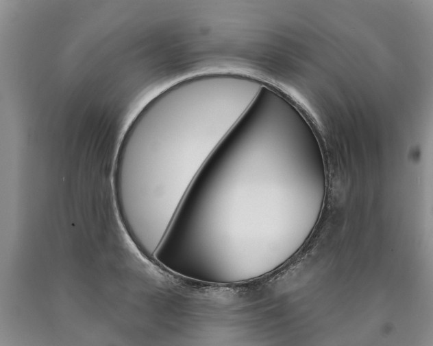 X0000090870943200707270952