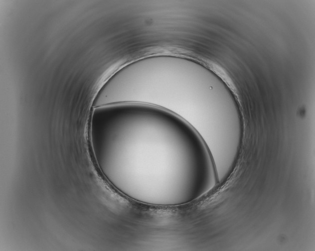 X0000090870946200707270952