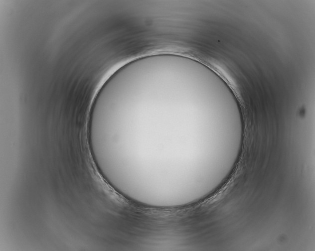 X0000090870948200707270952