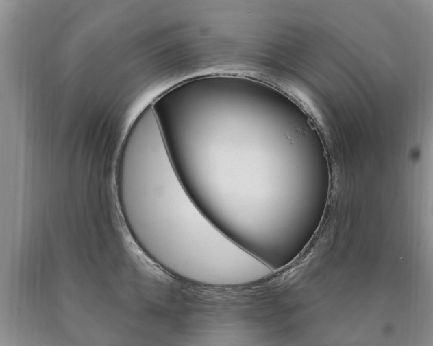 X0000090870952200707270952