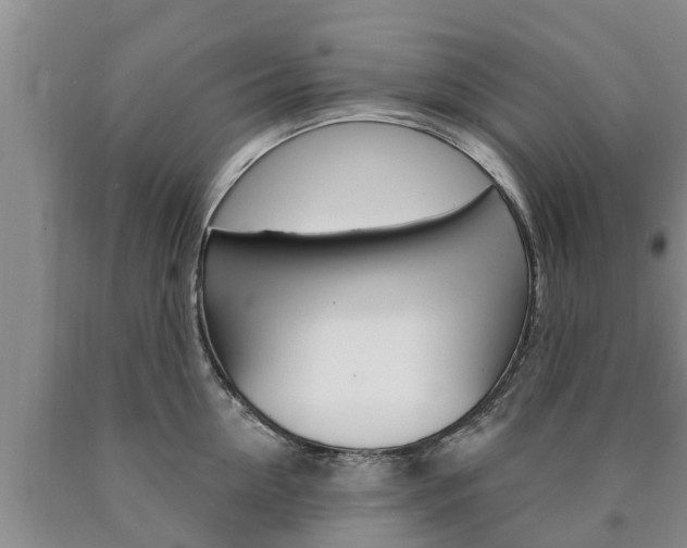 X0000090870954200707270952