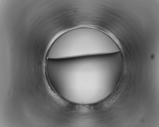 X0000090870955200707270952