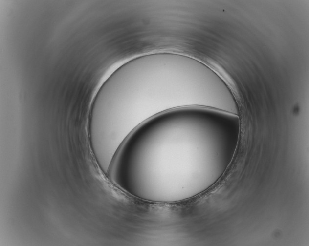 X0000090870956200707270952