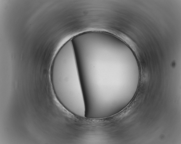 X0000090870958200707270952