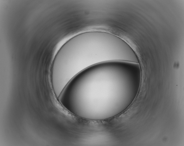 X0000090870960200707270952