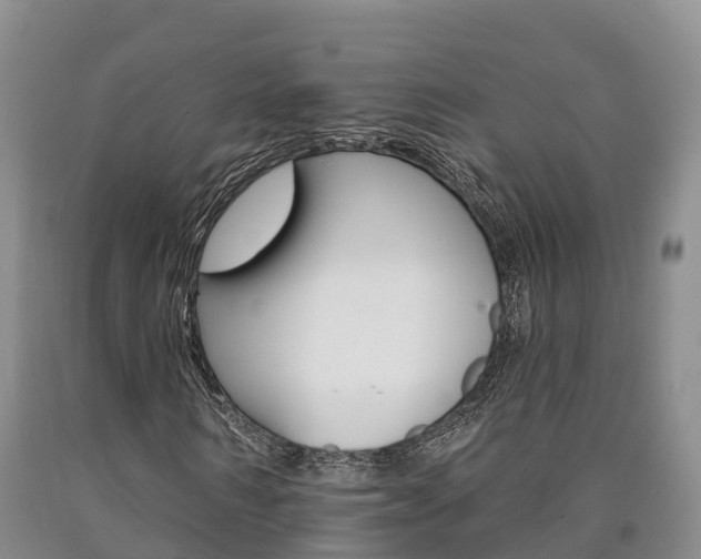 X0000090870962200707270951