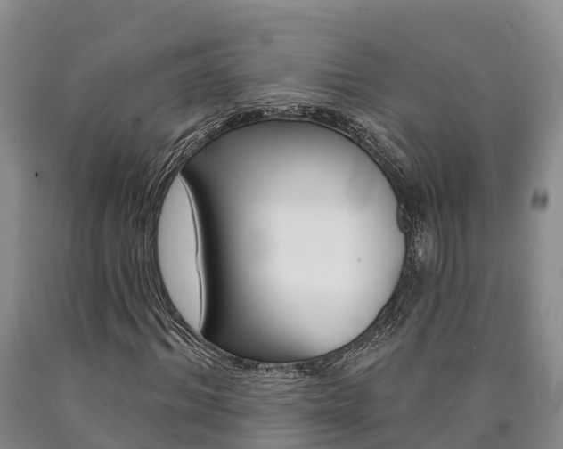 X0000090870964200707270951