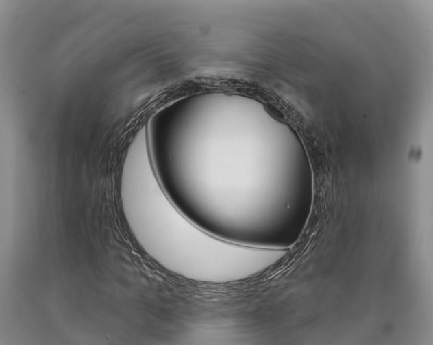 X0000090870965200707270951