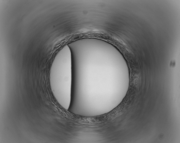 X0000090870966200707270951