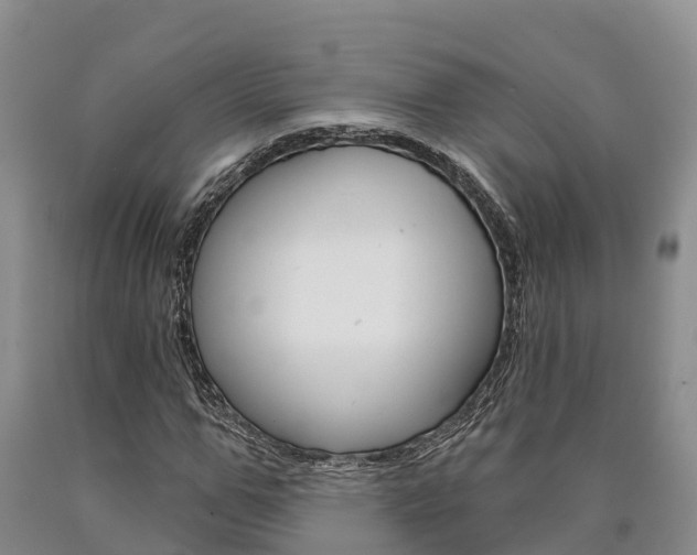 X0000090870967200707270951