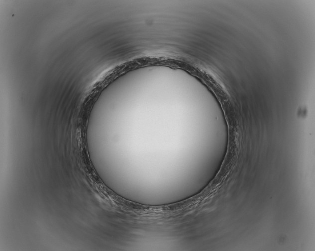 X0000090870968200707270951