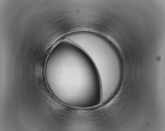 X0000090870969200707270951