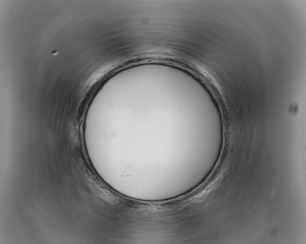 X0000090870970200707270951