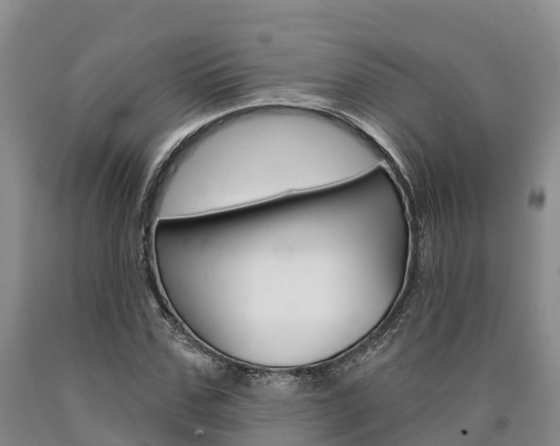 X0000090870971200707270951