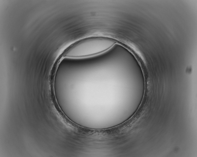 X0000090870972200707270951