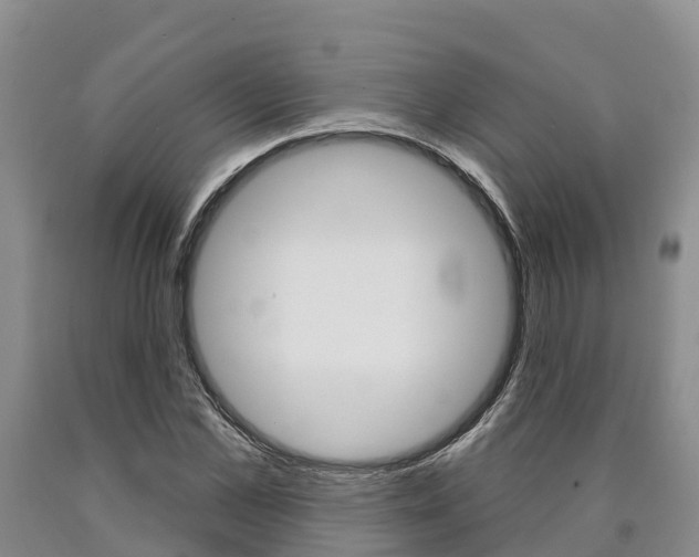 X0000090870973200707270951