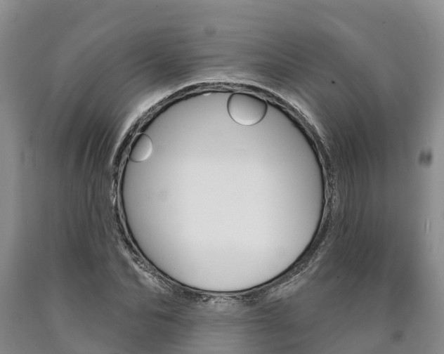 X0000090870974200707270951