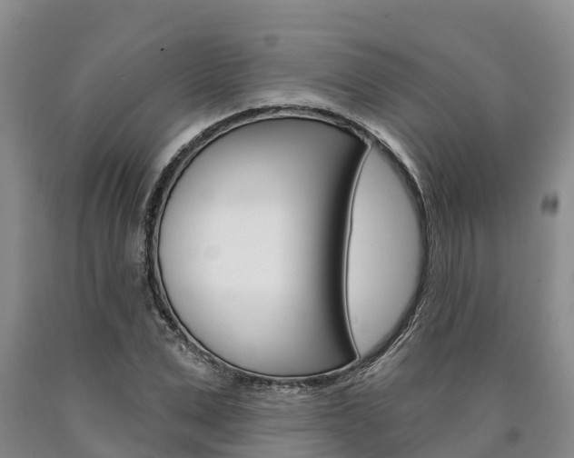 X0000090870975200707270951