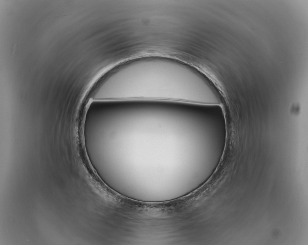 X0000090870976200707270951