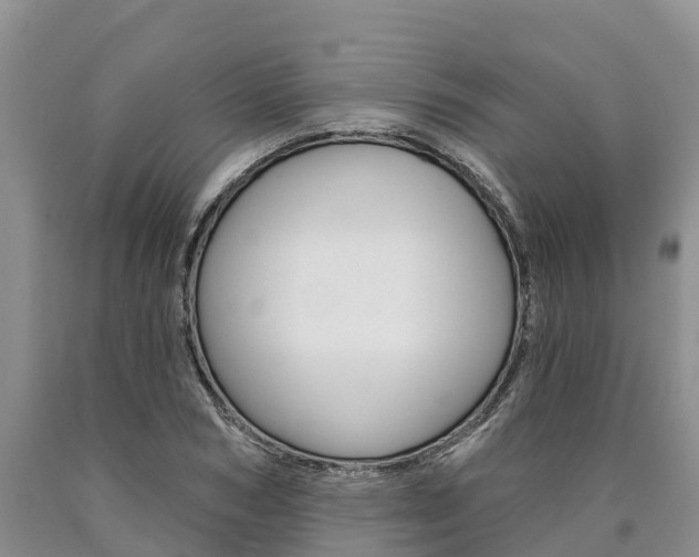X0000090870978200707270951