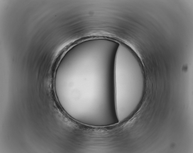 X0000090870979200707270951