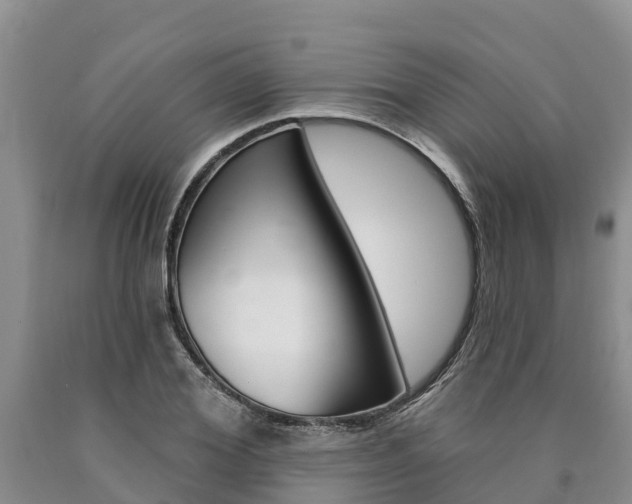 X0000090870980200707270951
