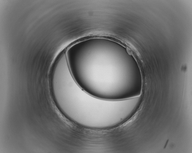 X0000090870981200707270951