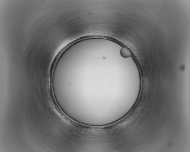 X0000090870982200707270951